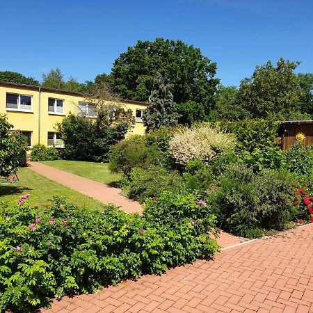 Ferienwohnung Ruegen In Samtens Exterior foto